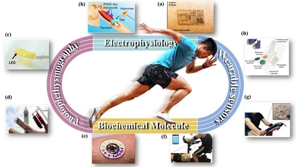 柔性傳感器應用于運動員訓練 柔性傳感器應用于運動員訓練